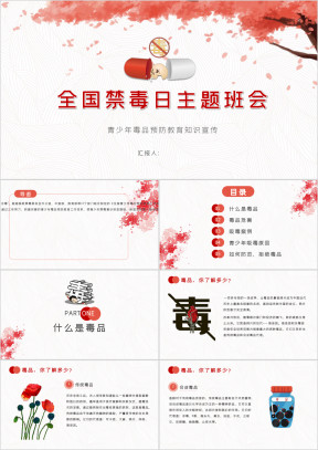 红色中小学生全国禁毒日主题教育ppt
