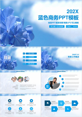 蓝色清新蝴蝶兰商务年终总结计划ppt