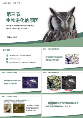 人教版八年级生物下册生物进化的原因