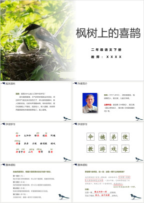 小学语文二年级下册《枫树的喜鹊》教育教学课件
