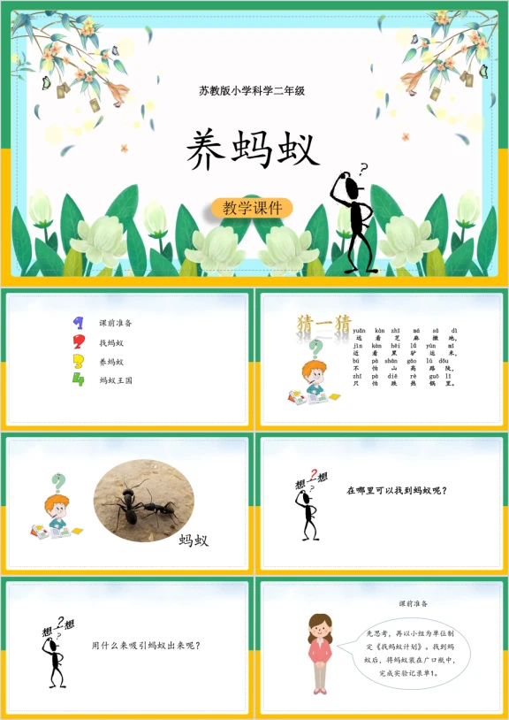 小学科学苏教版二年级全册《养蚂蚁》课件