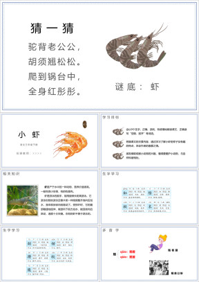 小学语文三年级下册《小虾》教育教学课件