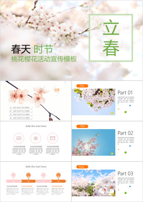 立春春季活动策划宣传方案模板ppt