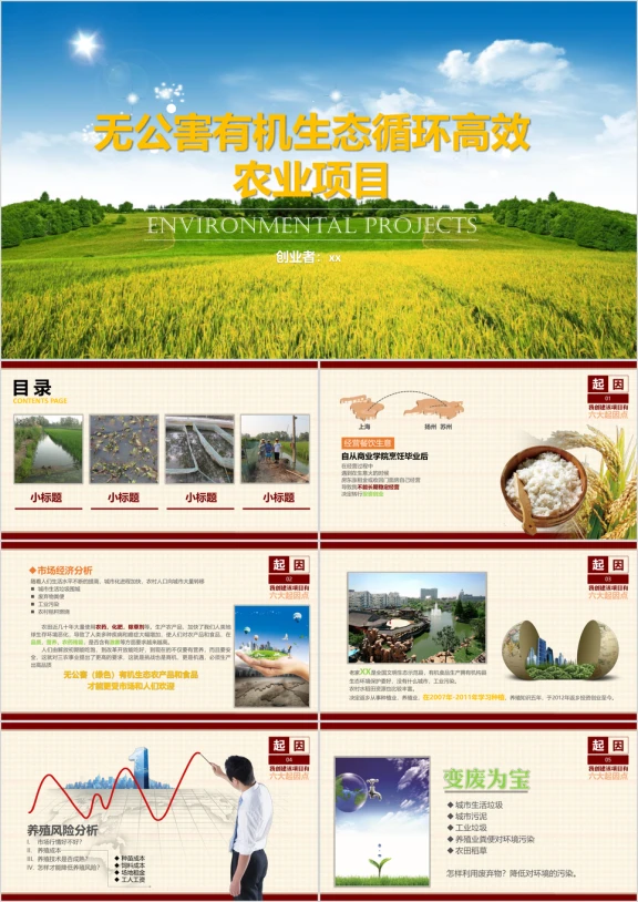 农业创业稻香绿色环保农业创业项目ppt模板