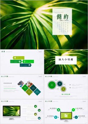 小清新简约工作总结计划ppt