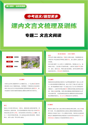 初中语文中考复习专题文言文阅读