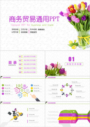 炫彩商务贸易通用ppt模板