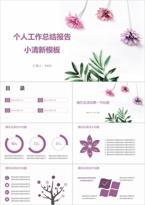 个人工作总结报告小清新模板ppt