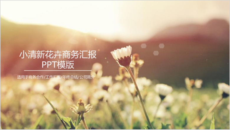 小清新花卉商务汇报ppt模板