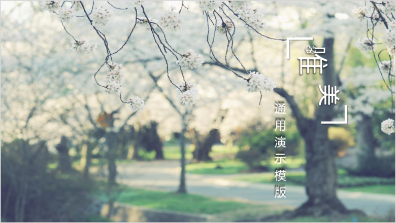 唯美浪漫ppt通用模板