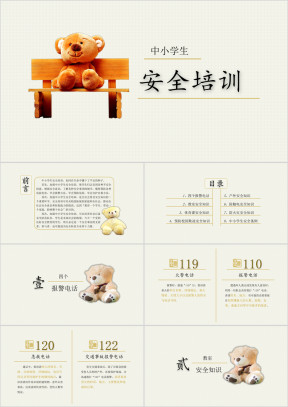 中小学生安全培训