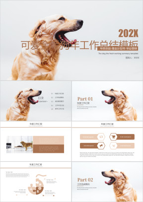 可爱金毛狗年年终工作总结模板ppt