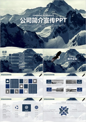 高端大气公司简介企业文化宣传策划ppt