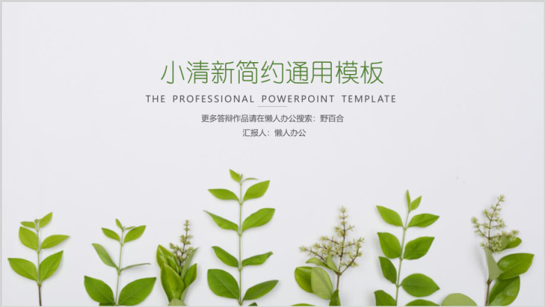 小清新总结汇报演讲ppt