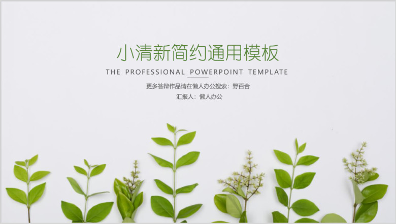 小清新总结汇报演讲ppt