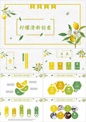 柠檬清新花卉水彩手绘创意工作总结通用ppt