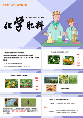 人教化学九年级下册课件化学肥料