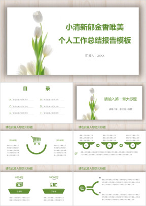 小清新郁金香唯美个人工作总结报告模板ppt