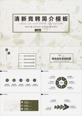 极简小清新述职报告竞聘简介个人总结ppt