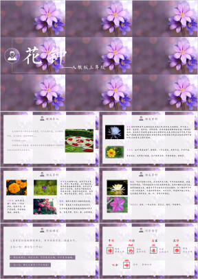 小学语文人教版三年级《花钟》教育教学课件