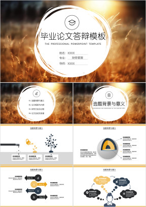 毕业论文答辩简约精美通用ppt模板