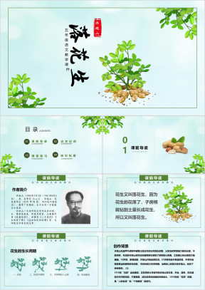 小学语文五年级《落花生》教育教学课件