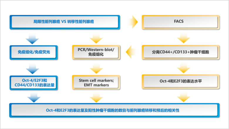 医学医疗论文技术路线多样式展示ppt