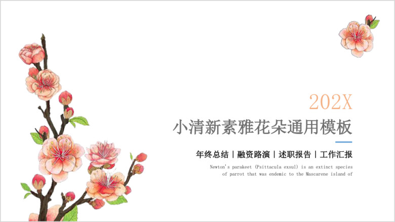 小清新素雅花朵温柔灰粉ppt