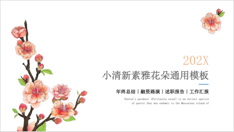 小清新素雅花朵温柔灰粉ppt