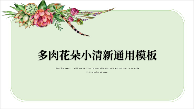 多肉花朵小清新ppt