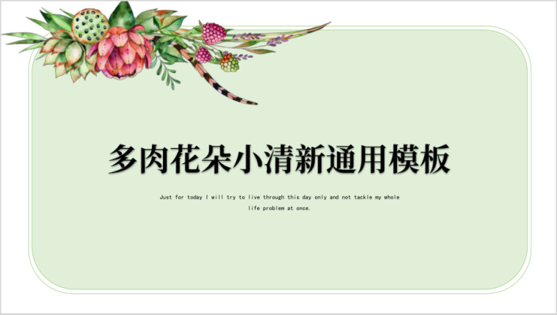 多肉花朵小清新ppt