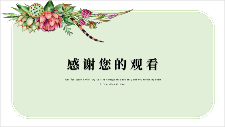 多肉花朵小清新ppt