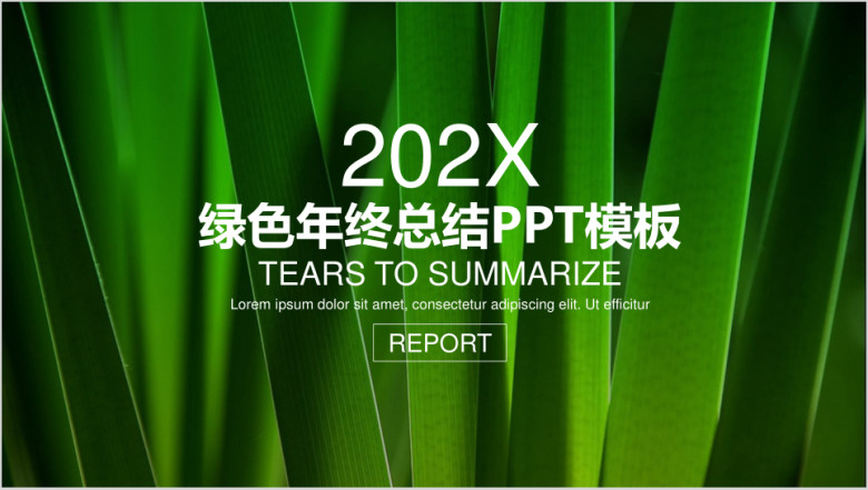 绿色清新商务年终总结汇报ppt