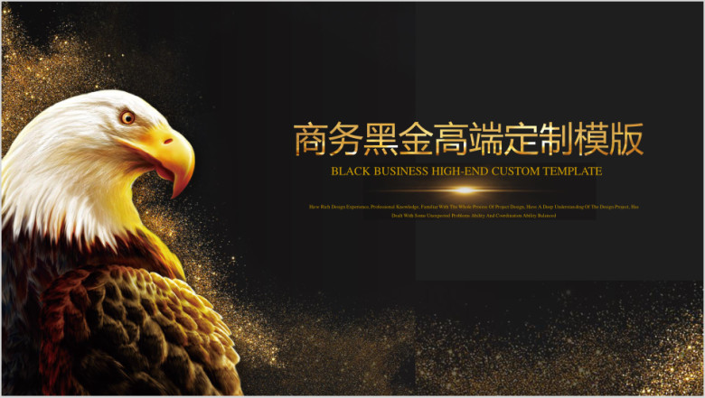 商业计划书黑金高端定制ppt模板