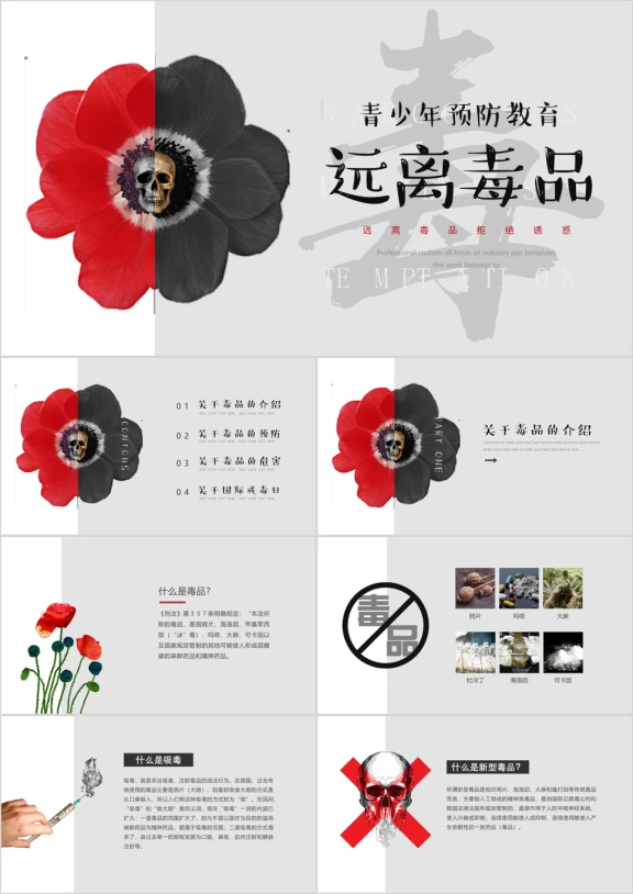 禁毒宣传预防毒品禁毒教育ppt