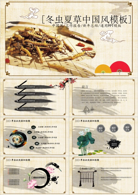 冬虫夏草中草药医学中国风工作报告总结ppt