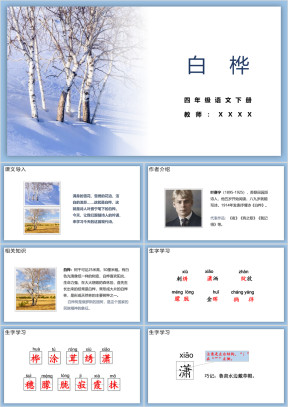 小学语文四年级下册《白桦》教育教学课件