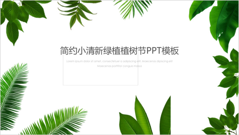 简约小清新绿植植树节ppt模板
