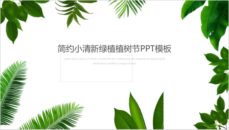 简约小清新绿植植树节ppt模板