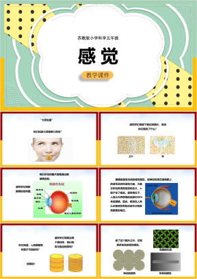 小学科学苏教版五年级全册《感觉》课件