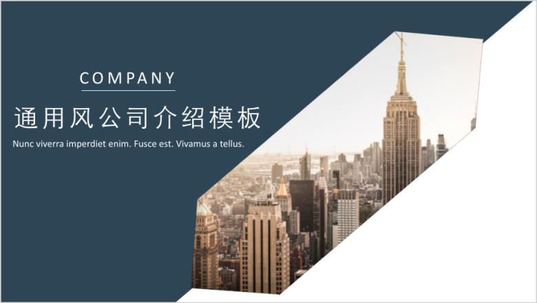 通用简约公司汇报模板ppt