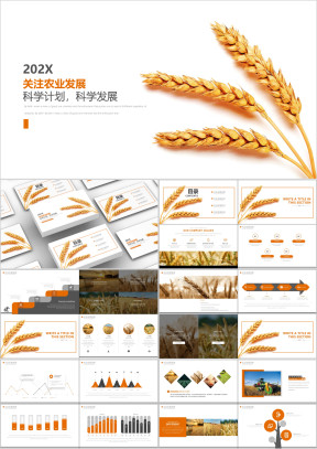 简约风格农业行业产品工作汇报ppt模板