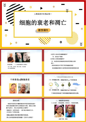 高中生物人教版必修一《细胞的衰老和凋亡》课件