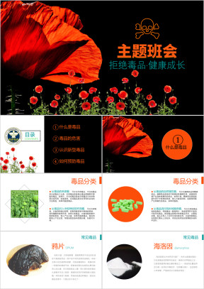 拒绝毒品健康成长禁毒教育主题班ppt