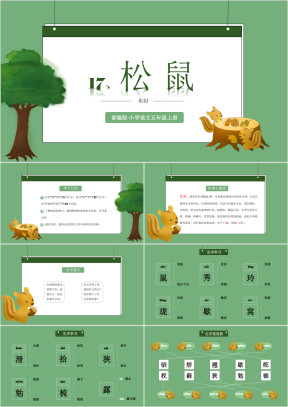 部编版小学语文五年级上册《松鼠》教学课件模板