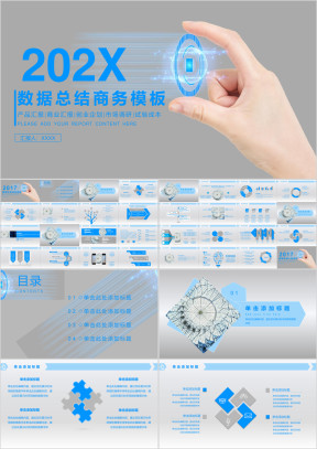 数据总结商务模板ppt
