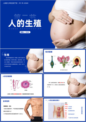 初中生物人教版七年级下册《人的生殖》教育教学课件
