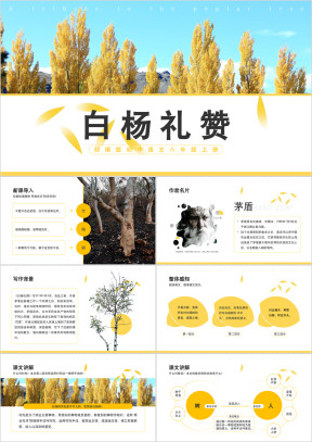 初中语文部编版八年级上册《白杨礼赞》公开课教学课件