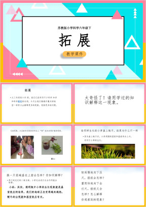 小学科学苏教版六年级下册《拓展》课件