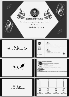 精致个人竞职简历模板ppt